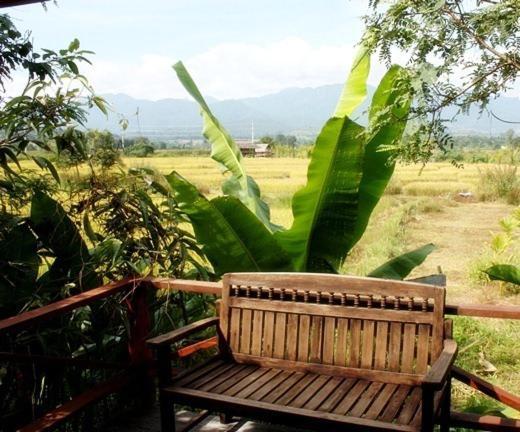 Pai Herbs Resort Pokoj fotografie